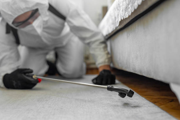 Professional Termite Control technician working in Wiggins, MS