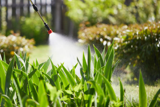 24/7 Emergency Termite Control experts in Wiggins, MS